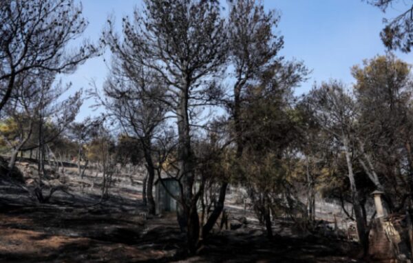 Γνωστός ορθοπεδικός με τηλεοπτικές εμφανίσεις συνελήφθη με τη σύντροφό του για έξι εμπρησμούς στη Νέα Μάκρη – Αναζητείται ο ανήλικος γιος της κατηγορούμενης