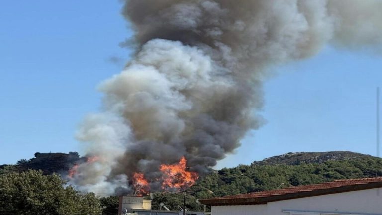 Πυροσβεστική: 29 πυρκαγιές το τελευταίο 24ωρο σε όλη τη χώρα