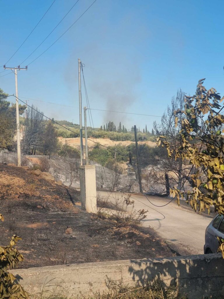 Πήγαν να σώσουν φίλο τους και κάηκαν στη φωτιά - Πώς έγινε η τραγωδία με 2 νεκρούς