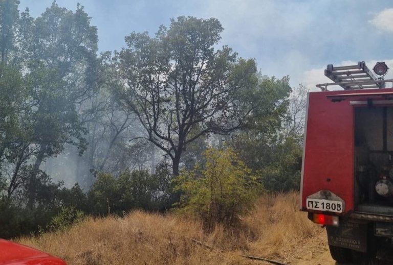 Δασική πυρκαγιά στο Αηδονοχώρι Σερρών-Στην κατάσβεση της πυρκαγιάς επιχειρούν εναέρια μέσα