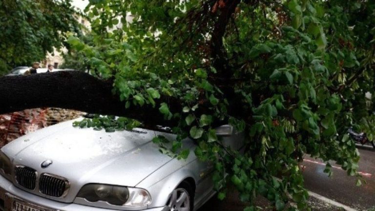 Θεσσαλονίκη: Πτώσεις δέντρων λόγω των ισχυρών ανέμων