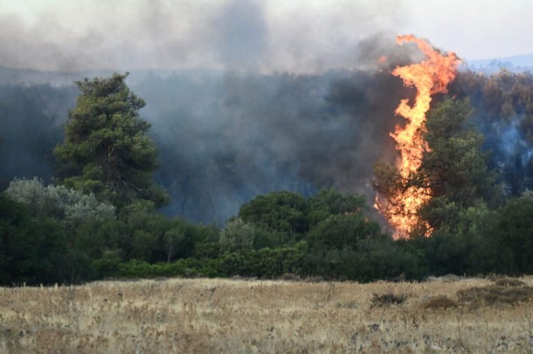 Συνολικά 30 δασικές πυρκαγιές εκδηλώθηκαν το τελευταίο 24ωρο σε όλη τη χώρα