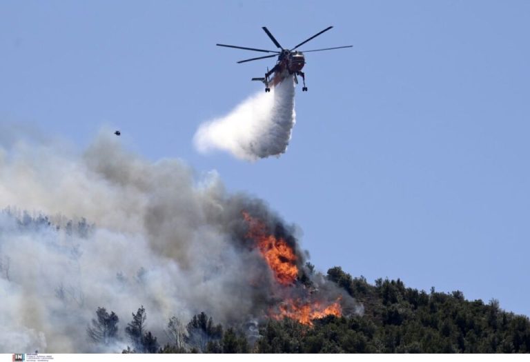 Πυρκαγιά σε δασική έκταση στην Ξάνθη – Στην κατάσβεση συνδράμουν 5 εναέρια μέσα