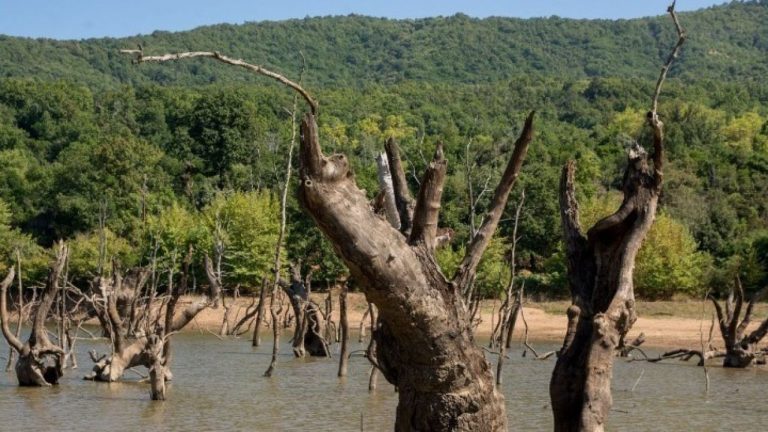 Λάρισα: Γνωρίζοντας το χωριό Σκήτη Αγιάς με την εντυπωσιακή λίμνη