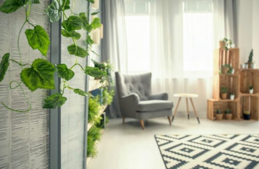 Eco-friendly living: Πώς να κάνετε το σπίτι σας πιο βιώσιμο με μικρές αλλαγές