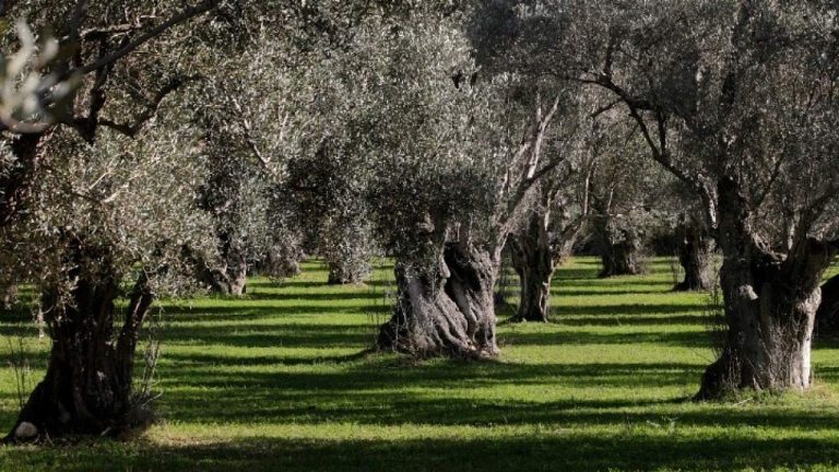 Απάντηση στις προκλήσεις που γεννά ο υπερτουρισμός στο βόρειο μέτωπο της Κρήτης δίνουν οι εναλλακτικές μορφές τουρισμού