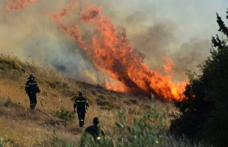 Φωτιά στο Παγγαίο Όρος: Σε δυσπρόσιτα σημεία επιχειρούν για τρίτη ημέρα δασοκομάντος