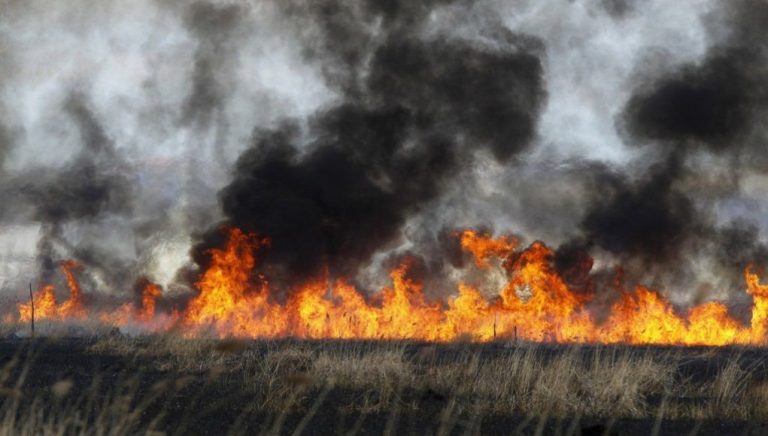 Σέρρες: Τσουχτερά πρόστιμα από την Πυροσβεστική για καύση υπολειμμάτων καλλιεργειών στα χωράφια