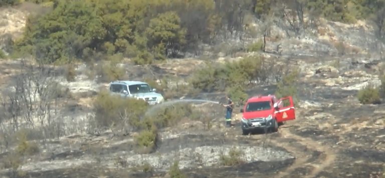 Σέρρες: Φωτιά σε δασική έκταση δίπλα σε πεδίο βολής- Μεγάλη κινητοποίηση από επίγεια και εναέρια μέσα- video