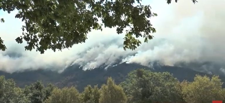 Ευχαριστήρια επιστολή Δ.Εμμανουήλ Παππά προς το Πυροσβεστικό Σώμα