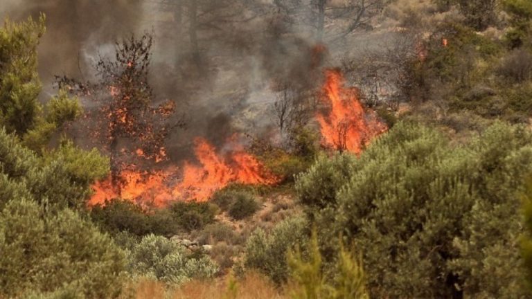 Πυρκαγιά σε χορτολιβαδική έκταση στις Καρίνες Ρεθύμνου