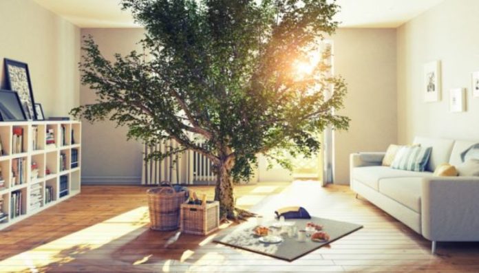 Eco-friendly living: Πώς να κάνετε το σπίτι σας πιο βιώσιμο με μικρές αλλαγές