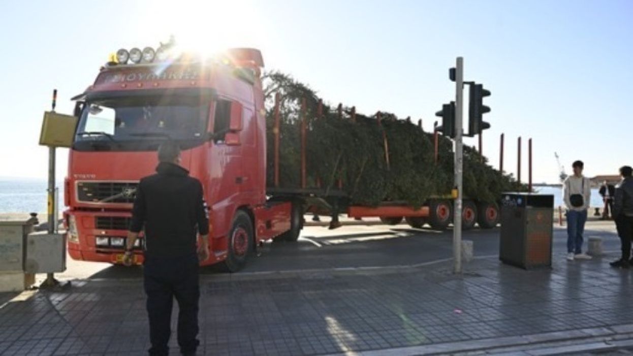 ελατο Θεσσαλονίκη: Αντίστροφη μέτρηση για τα Χριστούγεννα - Την επόμενη εβδομάδα έρχεται το έλατο στην Αριστοτέλους