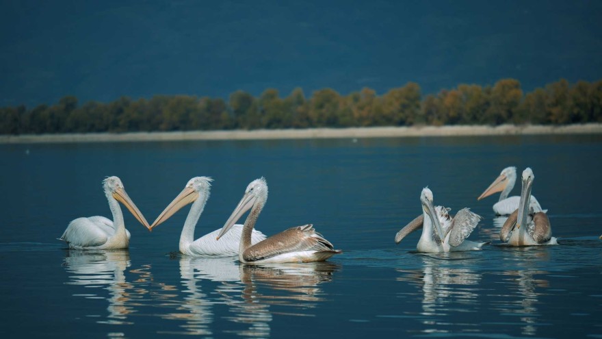 6 + 1 δραστηριότητες για ένα Σαββατοκύριακο αδρεναλίνης και χαλάρωσης στις Σέρρες