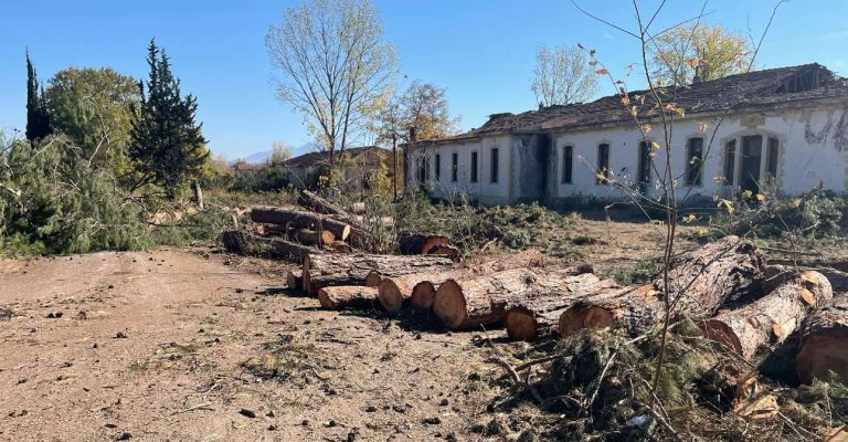 Σέρρες: Γιατί κόβονται δέντρα στο πρώην στρατόπεδο Εμμ. Παππά- video