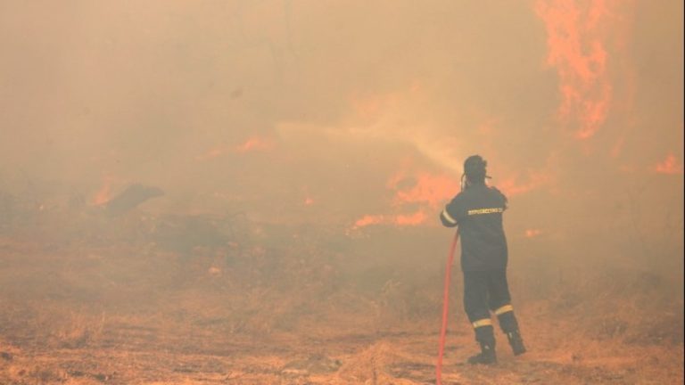 Χαλκιδική: Συνελήφθη 51χρονος για τη μεγάλη φωτιά στον Νέο Μαρμαρά