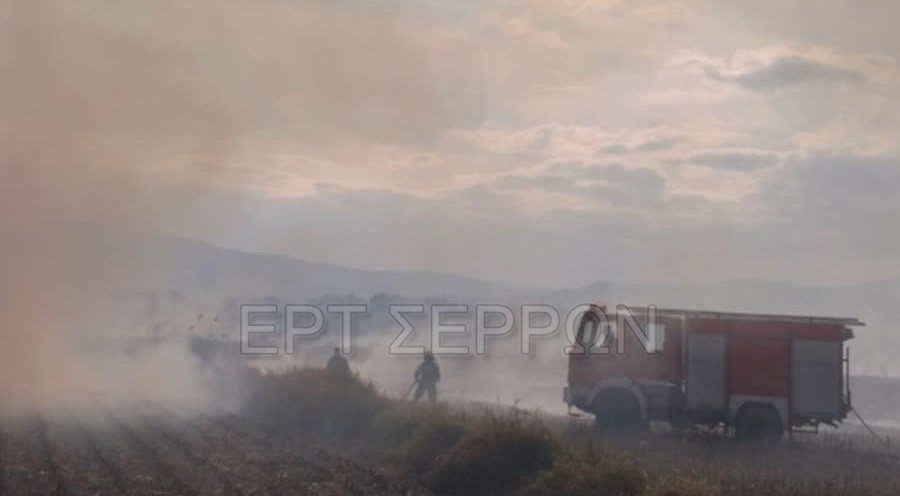 Σέρρες: Μάχη με τις φλόγες για 8 ώρες στα χωράφια έδωσαν οι πυροσβέστες – Κάηκαν 1.000 στρέμματα