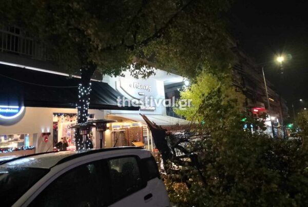 Θεσσαλονίκη: Πτώσεις δέντρων και φθορές σε ΙΧ λόγω των θυελλωδών ανέμων - φωτο & video