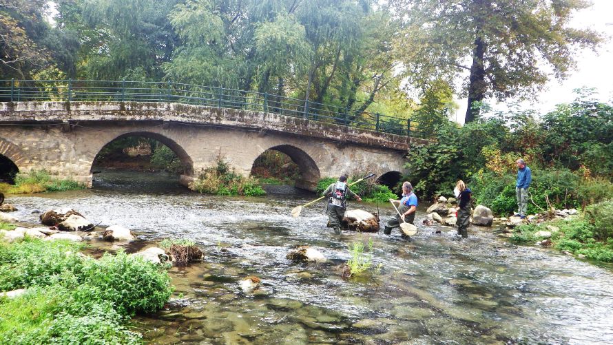 Καβάλα: Ιχνηλατώντας το Γκαβόχελο στα Τενάγη Φιλίππων, ένα είδος με ιστορία 360 εκατ. ετών