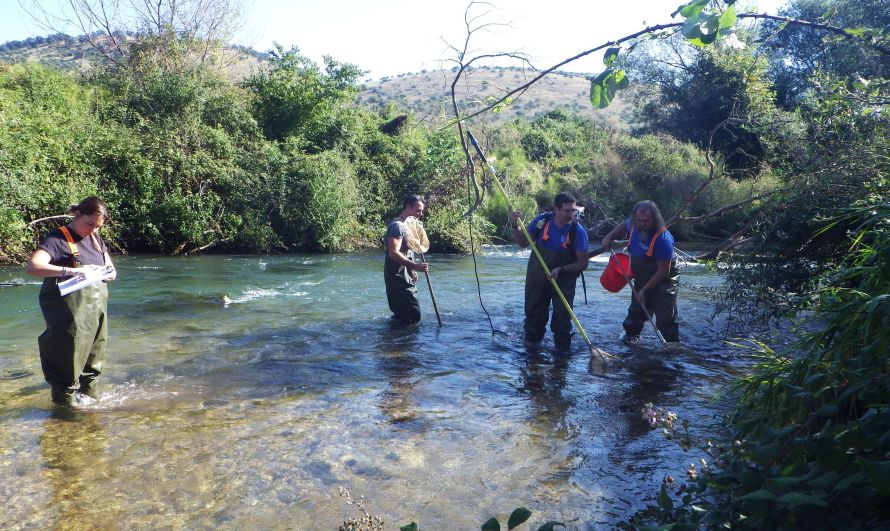 Καβάλα: Ιχνηλατώντας το Γκαβόχελο στα Τενάγη Φιλίππων, ένα είδος με ιστορία 360 εκατ. ετών