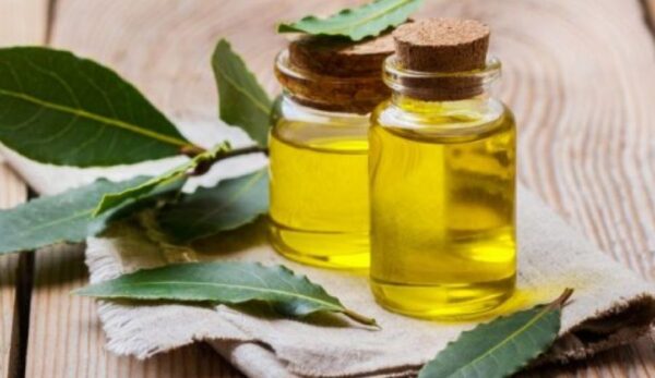Δαφνέλαιο: Σύμμαχος για λαμπερά μαλλιά και νεανικό πρόσωπο και σώμα