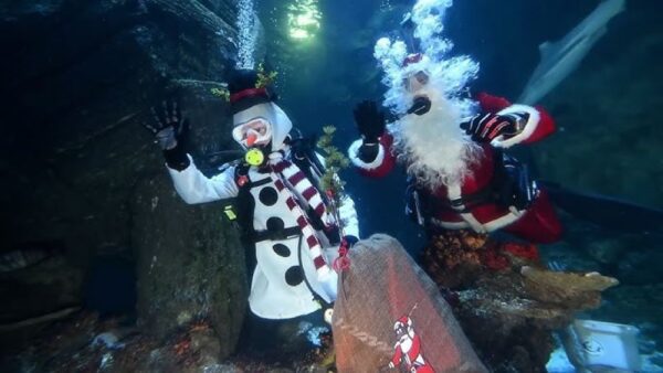 Ο χιονάνθρωπος δεν λιώνει ακόμη και κάτω από το νερό! - video