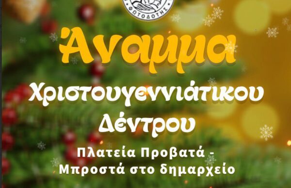 Φωταγώγηση χριστουγεννιάτικου δένδρου στον Προβατά Σερρών 