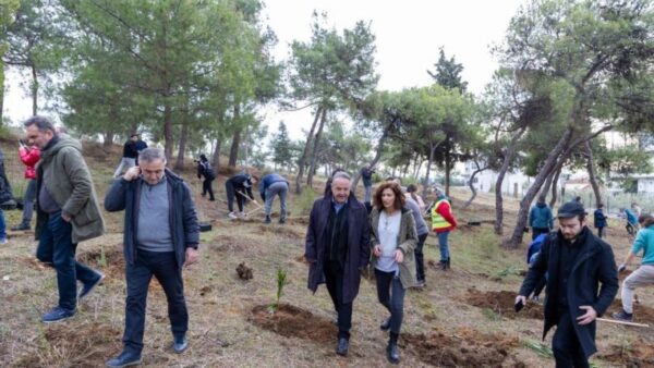 Σε 1.000 τα νέα δέντρα που φυτεύτηκαν σήμερα στην Τριανδρία