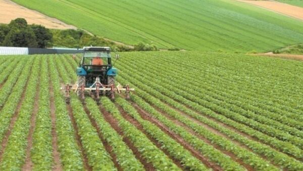 ΕΛΓΑ: Σήμερα η πίστωση 30 εκατ. ευρώ για ζημιές φυτικής παραγωγής και ζωικού κεφαλαίου του 2024