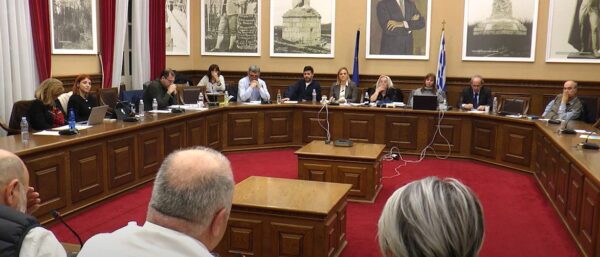 Σέρρες: Ομόφωνο ΟΧΙ στο αιολικό πάρκο στο Μενοίκιο - Ψήφισμα διαμαρτυρίας - video