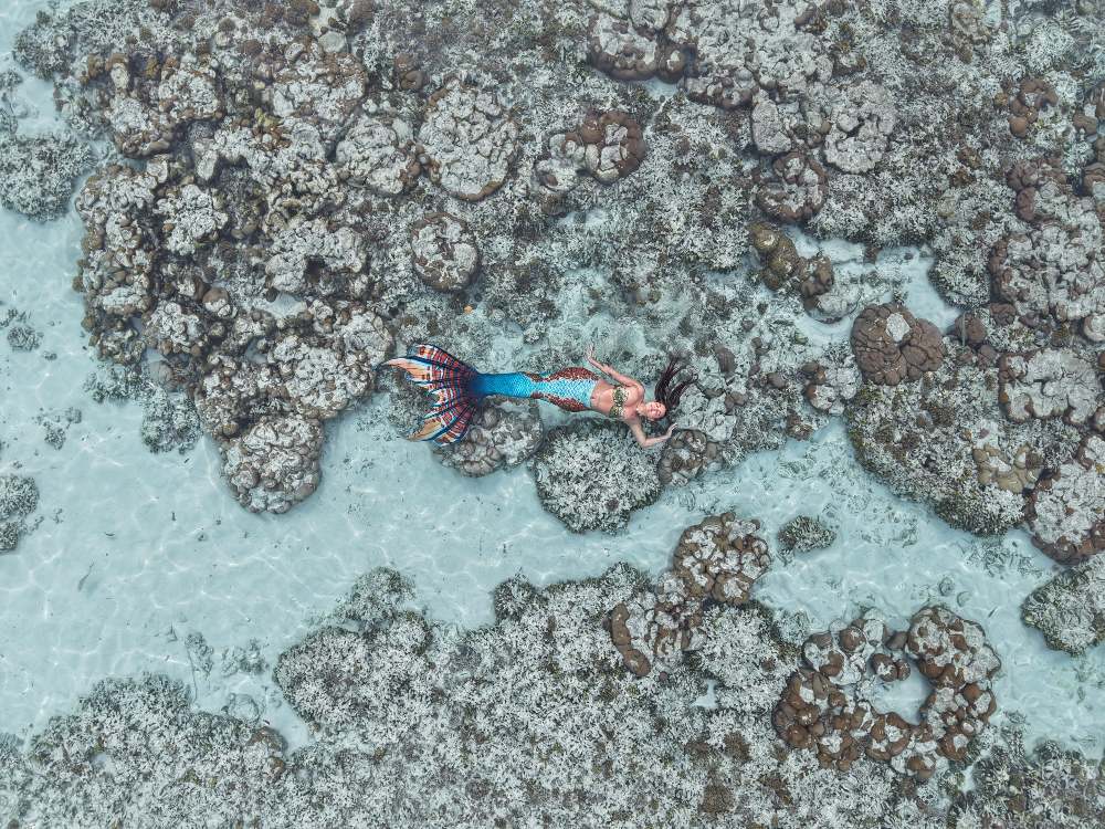 Η Θεσσαλονικιά «γοργόνα» που κολύμπησε με καρχαρίες και σαλάχια στις Μαλδίβες