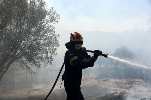 Φωτιά σε δασική περιοχή στην Σπάρτη – Συναγερμός στην Πυροσβεστική