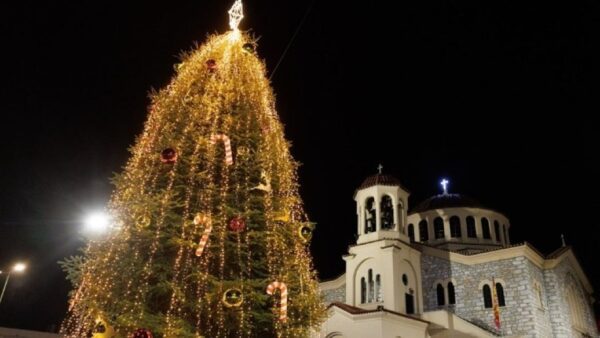 Τι γίνονται τα χριστουγεννιάτικα δέντρα όταν «πεθαίνουν»;