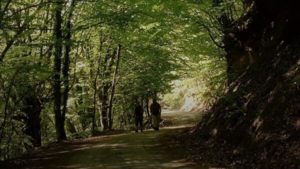 Δημιουργείται εθνικό δίκτυο μονοπατιών και διαδρομών πεζοπορίας - Χρηματοδοτούνται με 41,22 εκατ. ευρώ 107 νέες προτάσεις