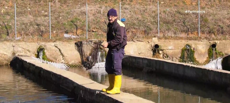 Το μοναδικό εκτροφείο πέστροφας στον Έβρο