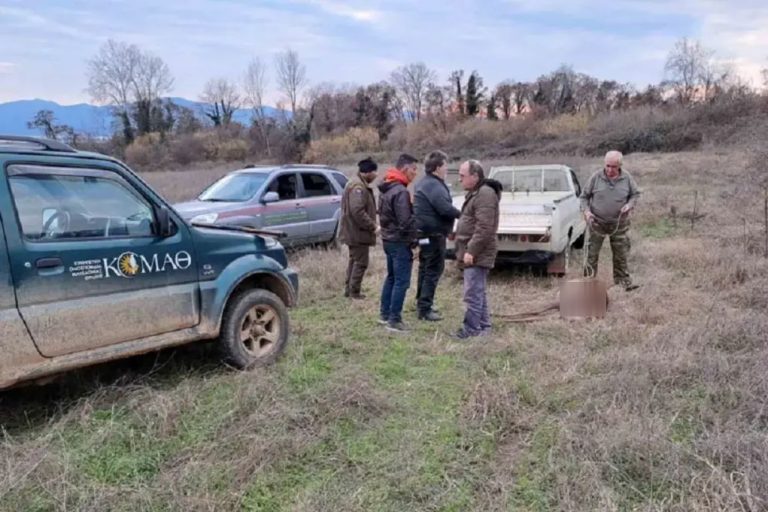 Κερκίνη Σερρών: Νεκρό θηλυκό ελάφι από σφαίρα λαθροθήρα