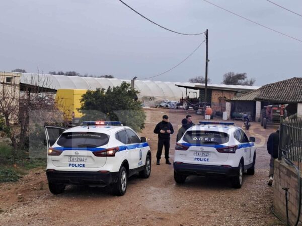 Στον εισαγγελέα οδηγείται σήμερα ο 56χρονος για το φόνο στο Ρουπάκι – Τι υποστηρίζει