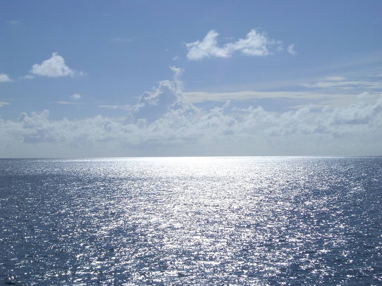 θάλασσα(Φωτογραφία: Pixabay) SOS στην Κρήτη για 3 νεκρά δελφίνια ξεβράστηκαν σε παραλία των Χανίων: Το “τριπλό καμπανάκι” κινδύνου