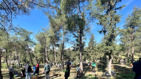 1.500 νέα δέντρα φυτεύτηκαν στο περιαστικό δάσος της Τούμπας