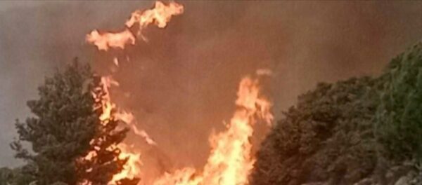 Πυρκαγιά σε δασική έκταση στον Άγιο Νικήτα Λευκάδας- Μήνυμα 112 για απομάκρυνση