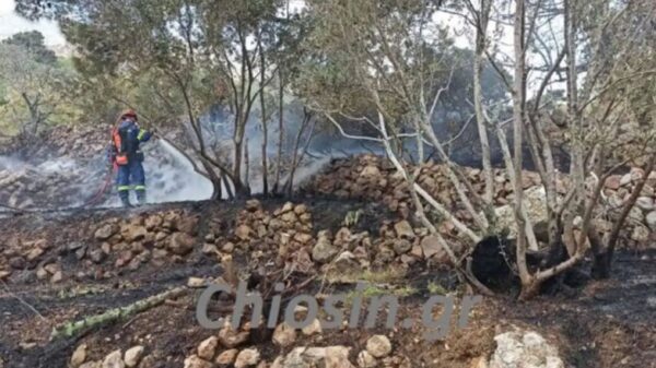 Φωτιά στη Χίο: Άνδρας έκαψε κατά λάθος τα κτήματά του με ελιές