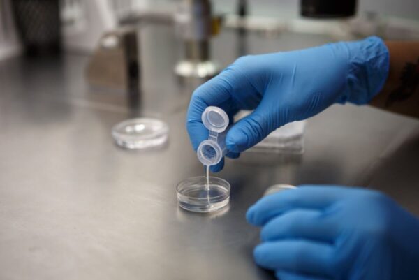 10 ερωτήσεις και απαντήσεις για την κατάψυξη ωαρίων