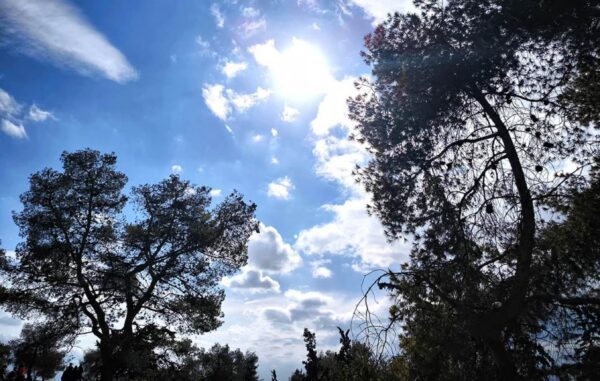 Μυρίζει άνοιξη με θερμοκρασίες ακόμη και 22 βαθμούς Κελσίου – Καλοκαιρία σε όλη τη χώρα