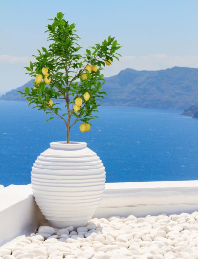 8 ιδέες διακόσμησης για να κάνετε το μικρό σας μπαλκόνι να θυμίζει νησί