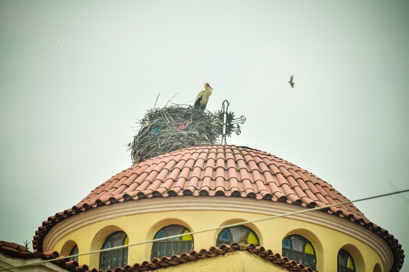 Σερρών Θεολόγος: «Το έργο του ιερέως είναι αποστολή, μαρτυρία και ομολογία Ιησού Χριστού»