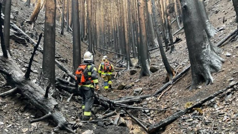 Υπό έλεγχο τέθηκε η χειρότερη δασική πυρκαγιά των τελευταίων 50 ετών στην Ιαπωνία
