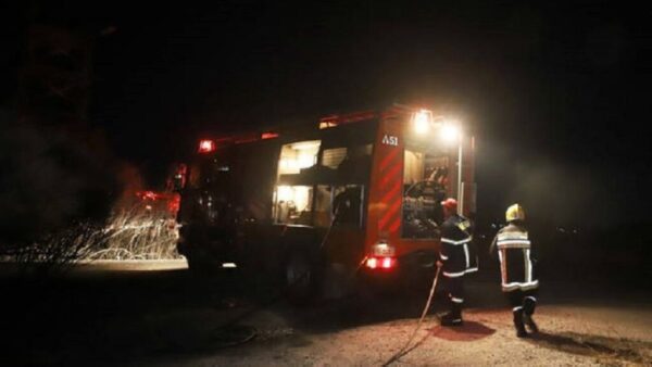 Πυρκαγιά σε δασική έκταση στο Μαρμάρι Καρύστου Ευβοίας – Επί τόπου η Πυροσβεστική