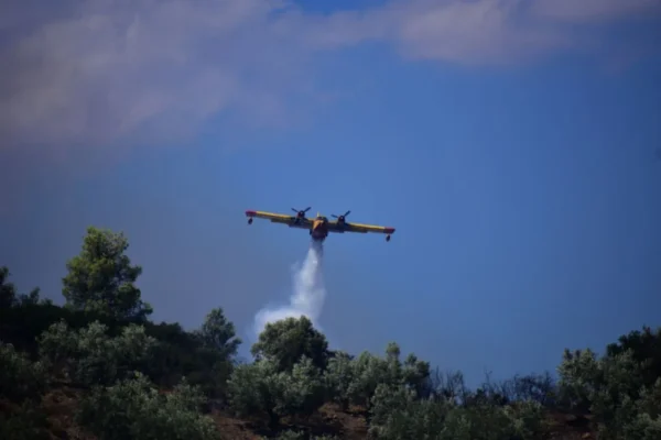Φωτιά στη Λακωνία στο χωριό Βελανίδια – Σηκώθηκε αεροπλάνο