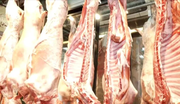 Αυξημένη κατά 20% σε σχέση με πέρσι η τιμή του οβελία