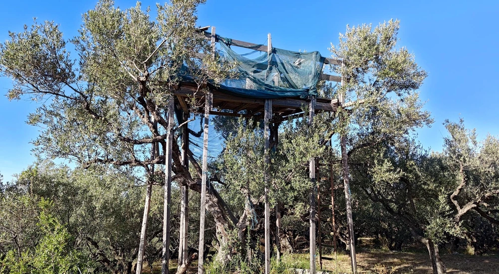 Ζάκυνθος: Άγρια επίθεση σε εθελοντές από λαθροθήρες που κυνηγούσαν τρυγόνια